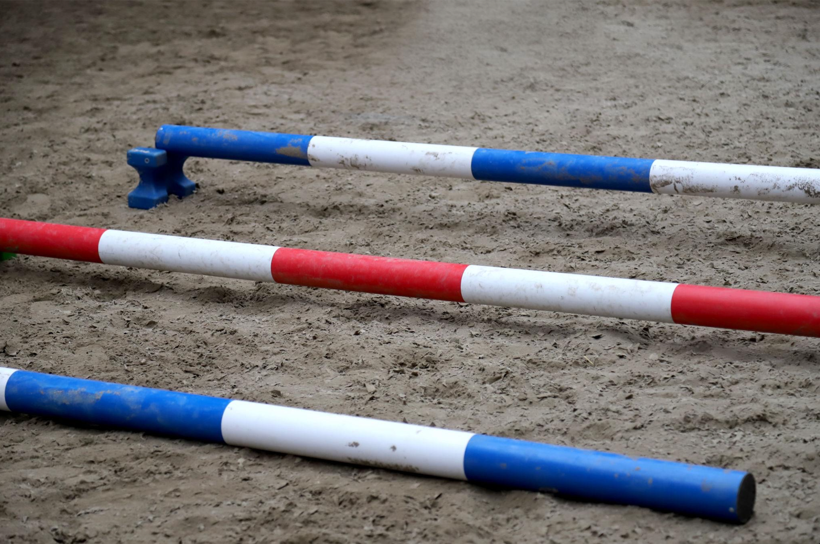 Pole Work for Horses. 8 Exercises for Better Balance and Core