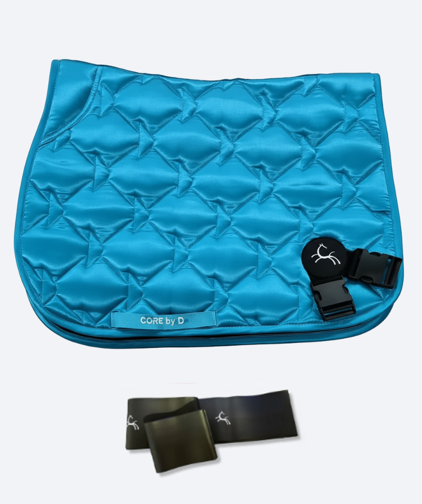 Horse Training Bands with Saddle Pad | Complete Set in Blue
