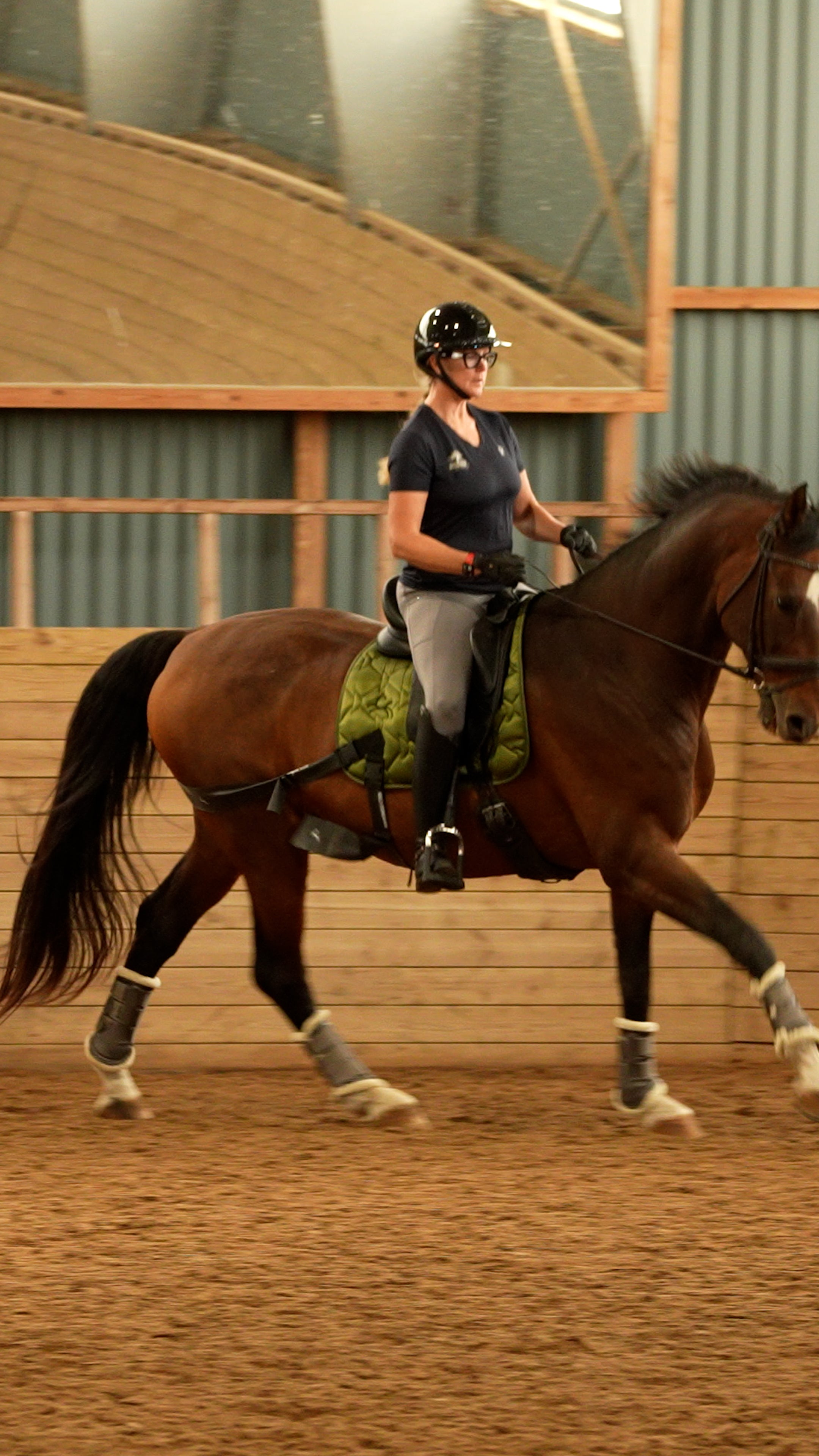 Trainingsbänder für Pferde mit Schabracke | Grün | CORE by D