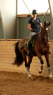 Trainingsbänder für Pferde mit Schabracke | Grün | CORE by D