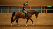 Trainingsbänder für Pferde mit Schabracke | Grün | CORE by D