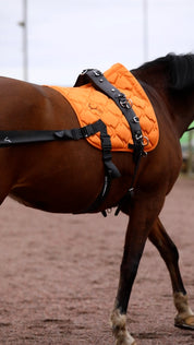 Trainingsbänder für Pferde mit Schabracke | Orange | CORE by D