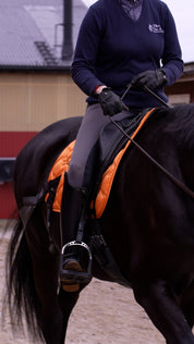 Trainingsbänder für Pferde mit Schabracke | Orange | CORE by D