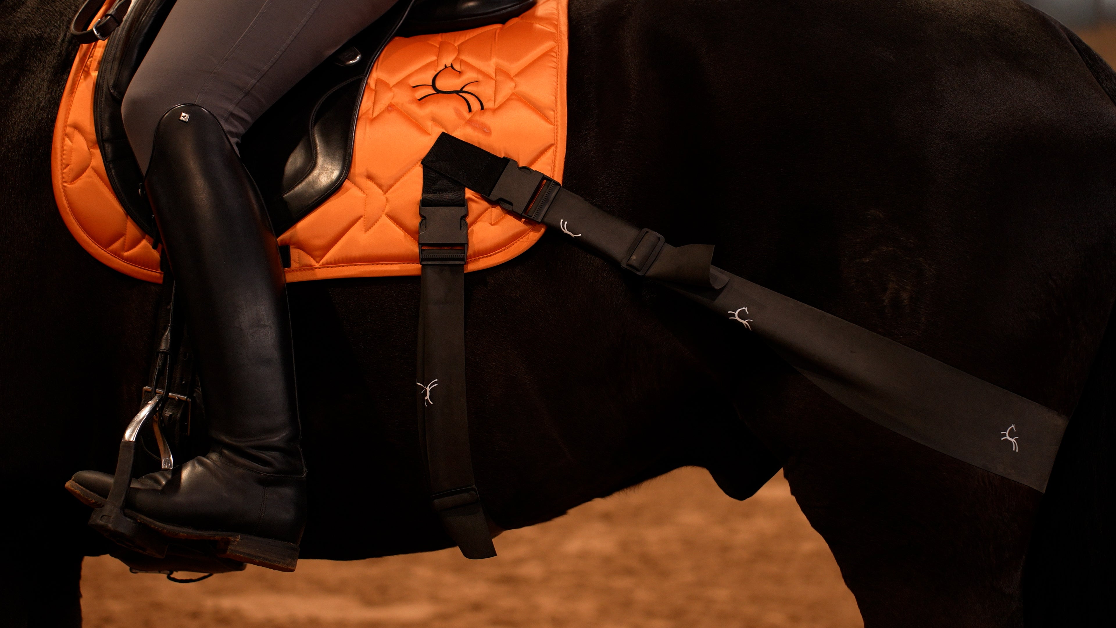 Trainingsbänder für Pferde mit Schabracke | Orange | CORE by D