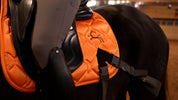 Trainingsbänder für Pferde mit Schabracke | Orange | CORE by D