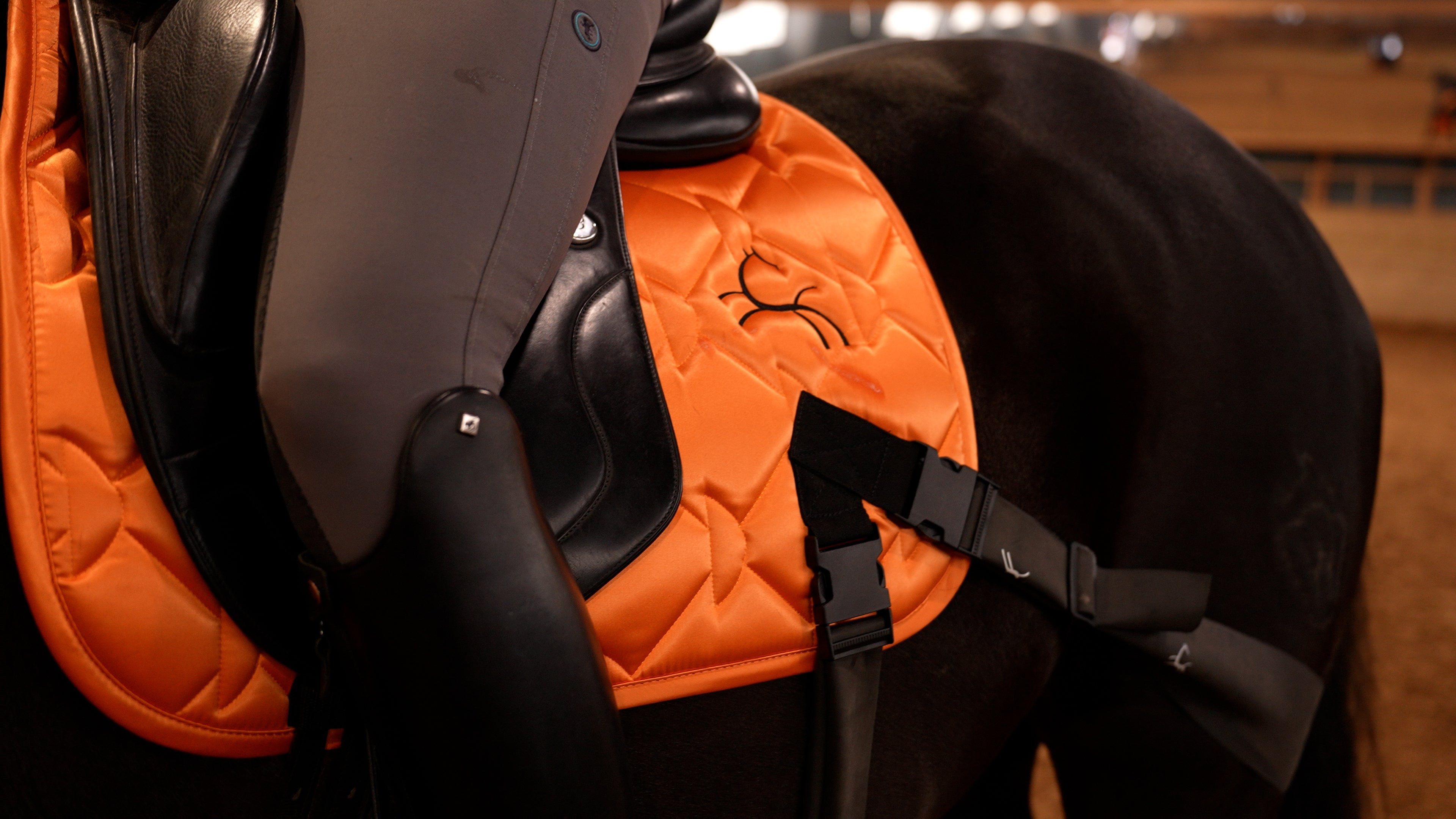 Trainingsbänder für Pferde mit Schabracke | Orange | CORE by D
