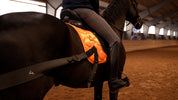Trainingsbänder für Pferde mit Schabracke | Orange | CORE by D