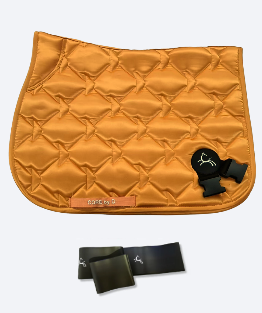 Trainingsbänder für Pferde mit Schabracke | Orange | CORE by D