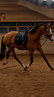 Trainingsbänder für Pferde mit Schabracke | Schwarz | CORE by D