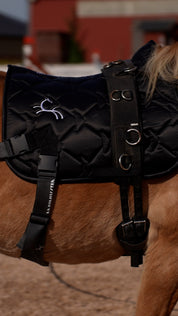 Trainingsbänder für Pferde mit Schabracke | Schwarz | CORE by D