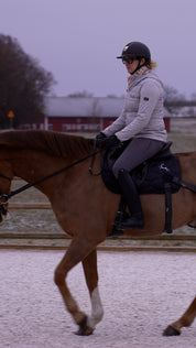 Trainingsbänder für Pferde mit Schabracke | Schwarz | CORE by D