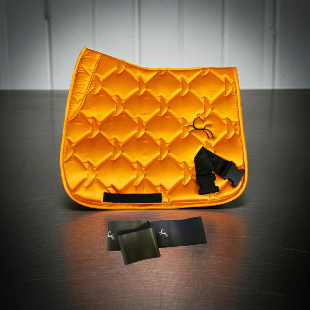 Trainingsbänder für Pferde mit Schabracke | Orange | CORE by D