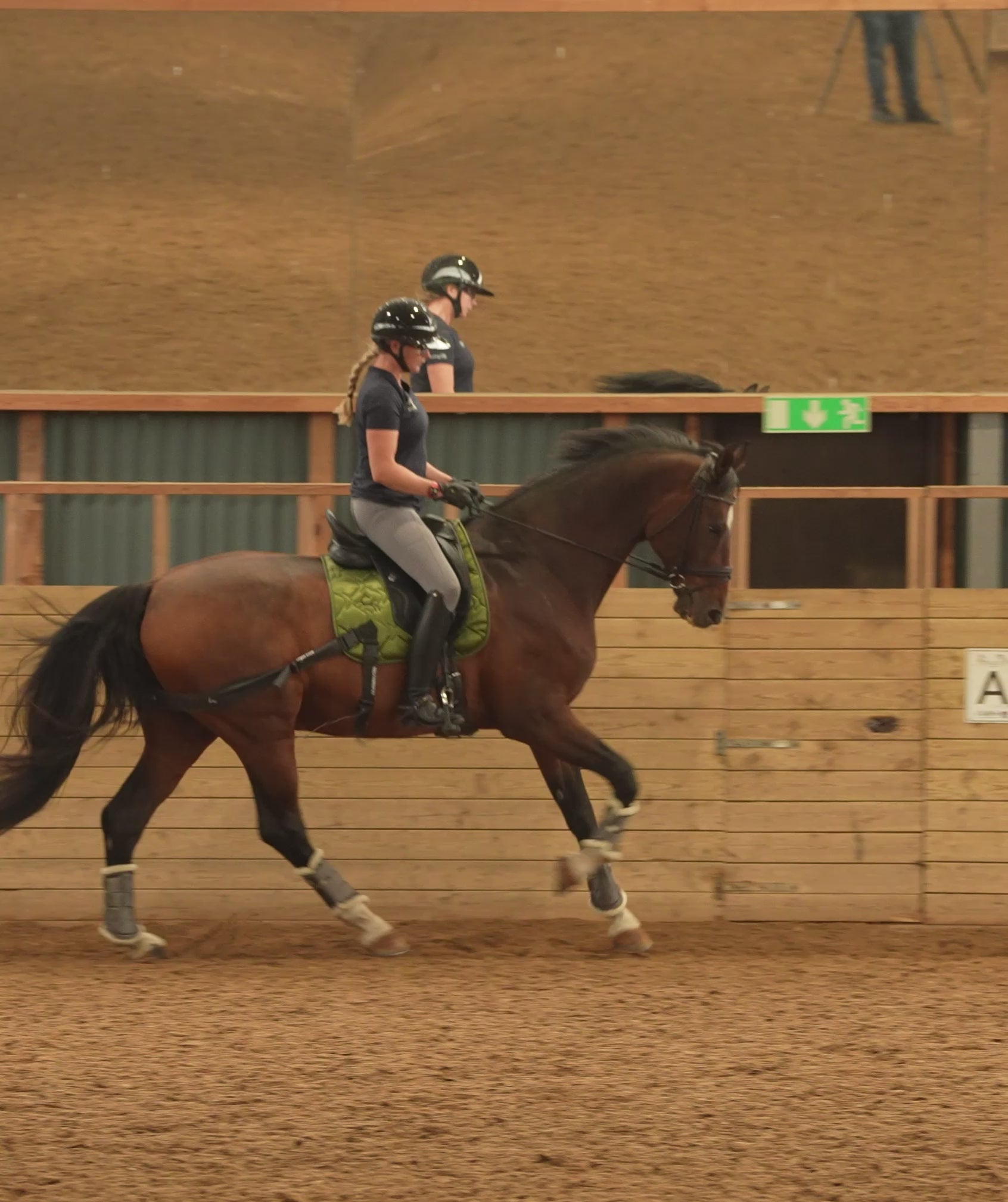 Trainingsbänder für Pferde mit Schabracke | Grün | CORE by D