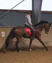 Trainingsbänder für Pferde mit Schabracke | Rot | CORE by D